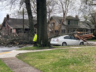 Storm debris pickup, disposal after the storms beginning Wednesday - WTVQ